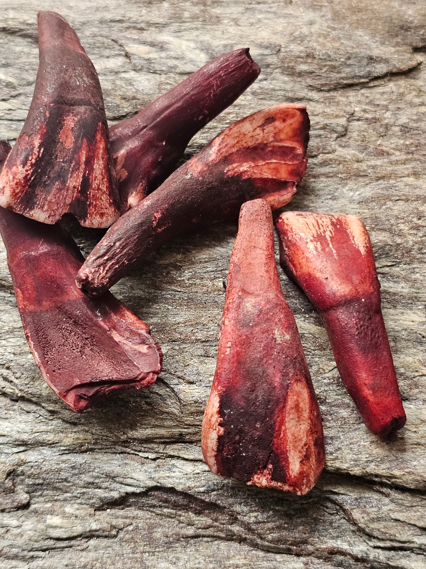 Relationer (bison tand)