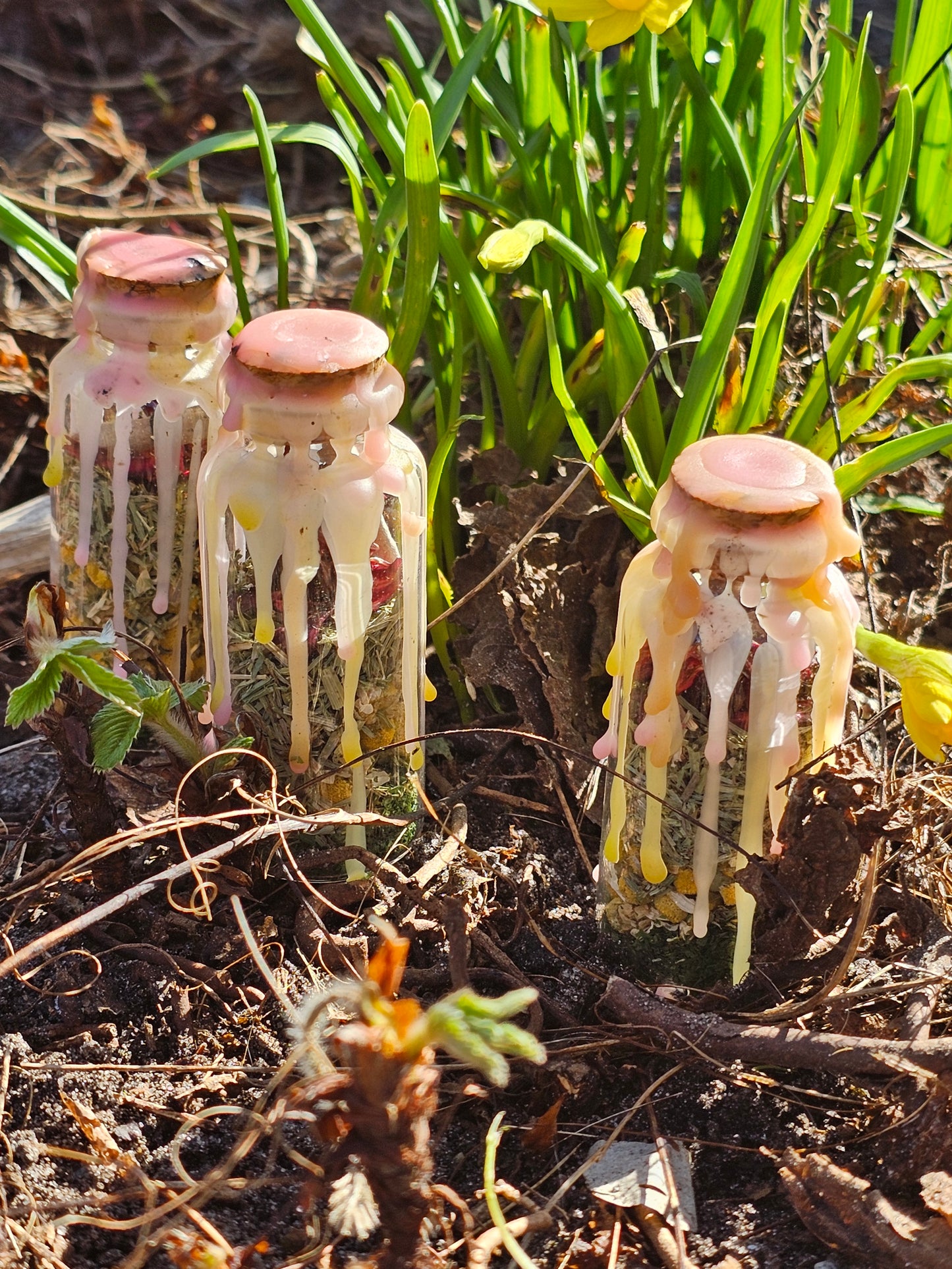 Forårs spell (2025)