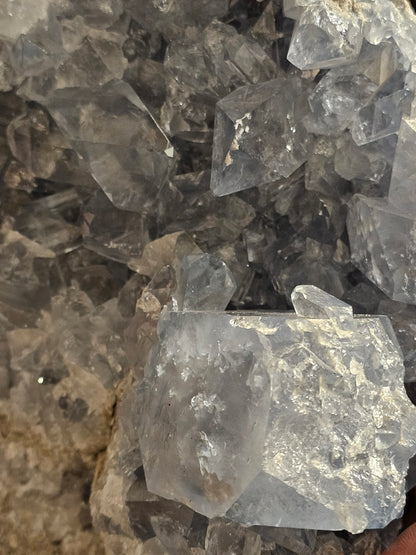 Stemmens Mester. (1)