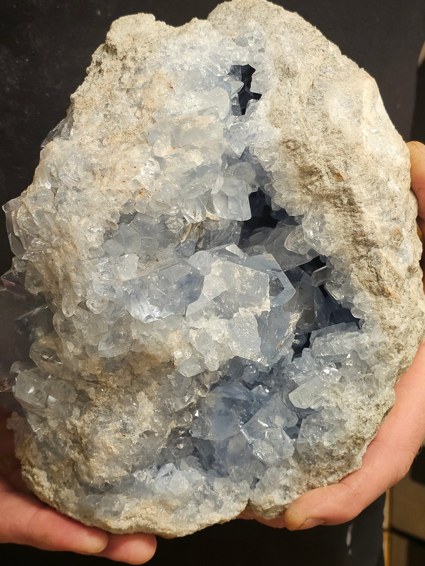 Stemmens Mester. (1)