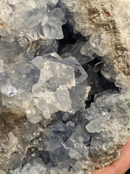 Stemmens Mester. (1)