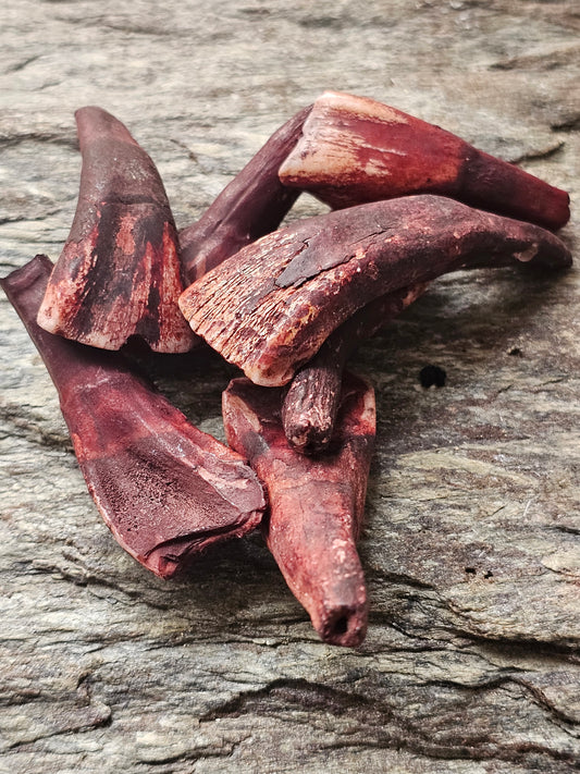 Relationer (bison tand)