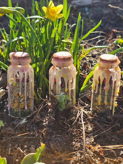 Forårs spell (2025)